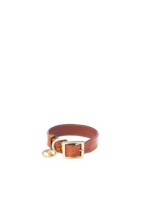 Collar-de-perro-de-mariposas-mh-1
